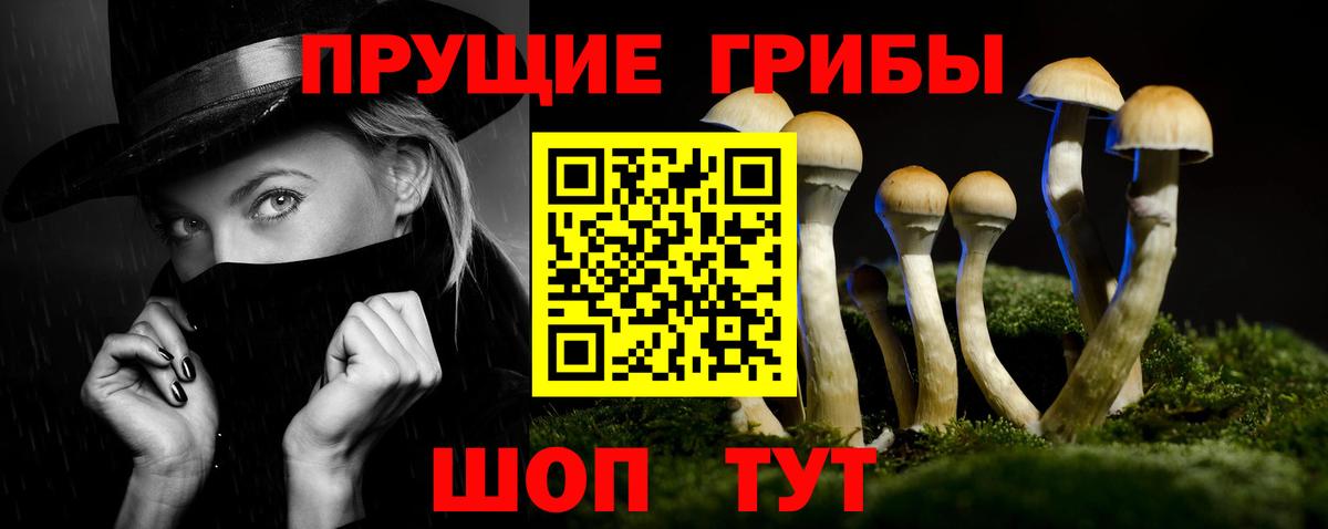 сколько стоит  Псилоцибиновые грибы Cubensis  Вход с VPN  Волжск 